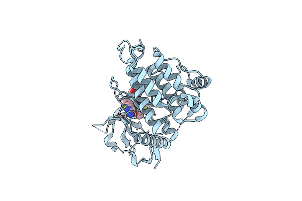 7R7R image