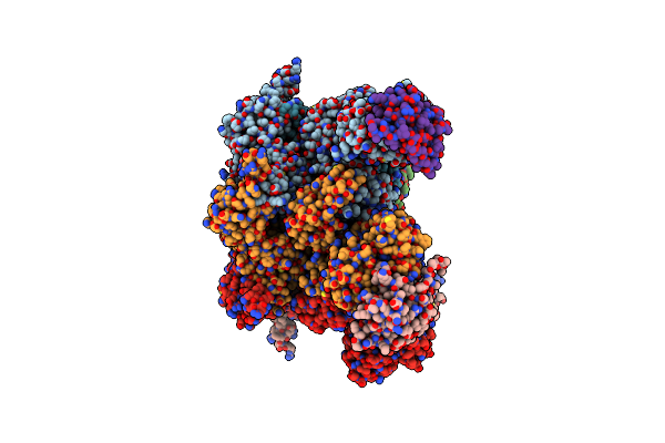 7R7S image