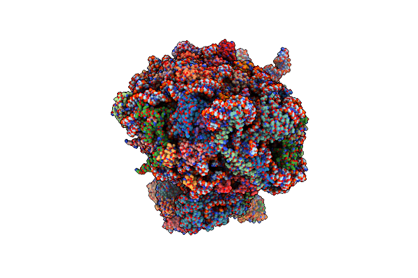 7R81 image