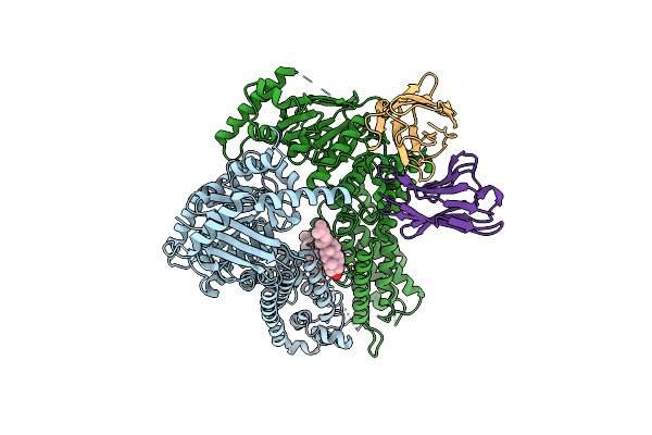 7R8B image