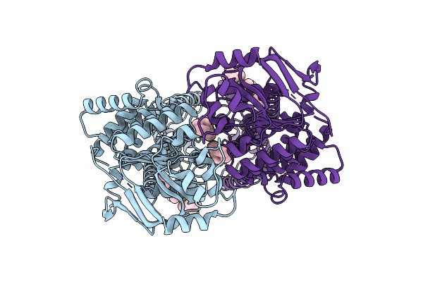 7R8D image