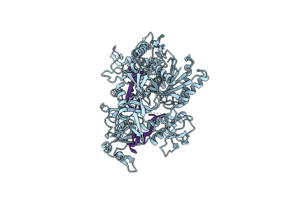 7R8G image
