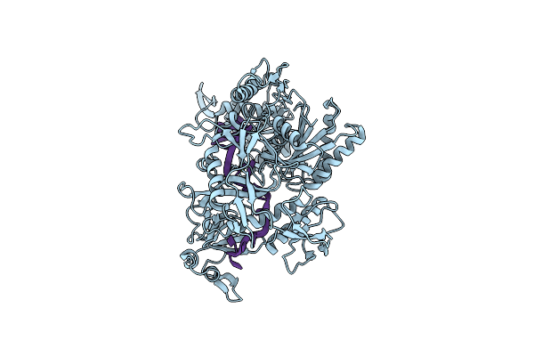 7R8I image