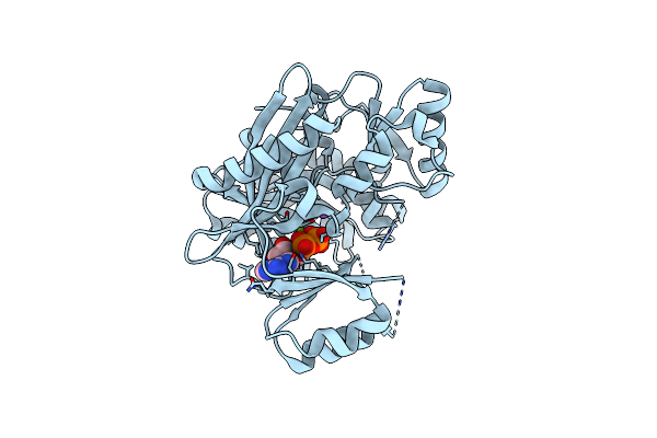 7R8P image