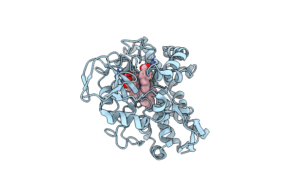 7R8S image
