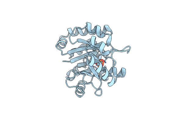 7R9B image