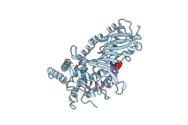 7R9G image