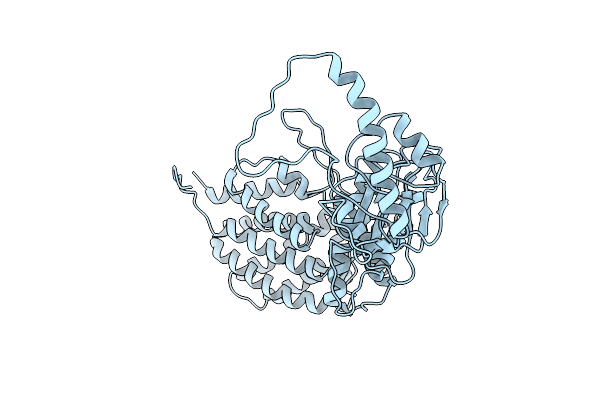 7R9M image