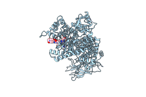 7R9V image