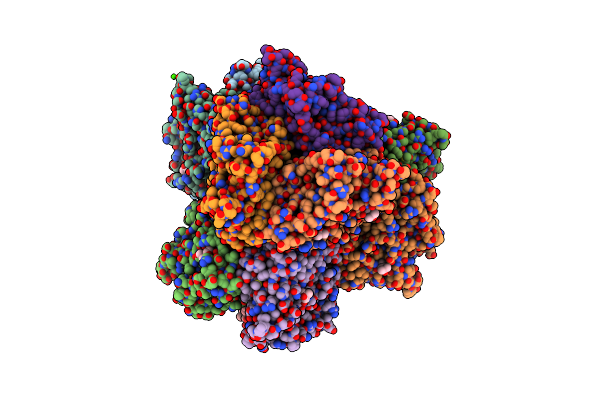 7RAC image