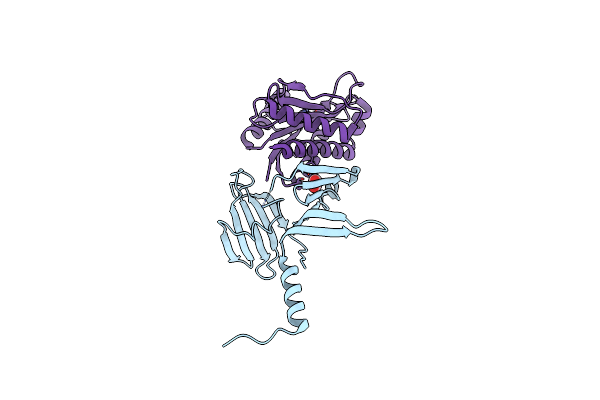 7RAG image