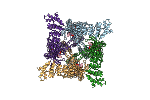 7RAS image