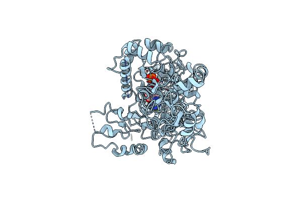 7RAV image
