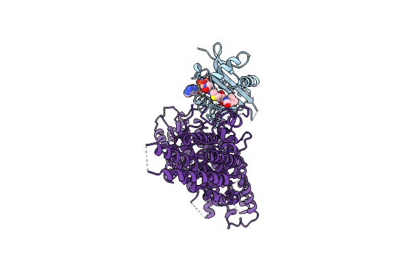 7RB3 image