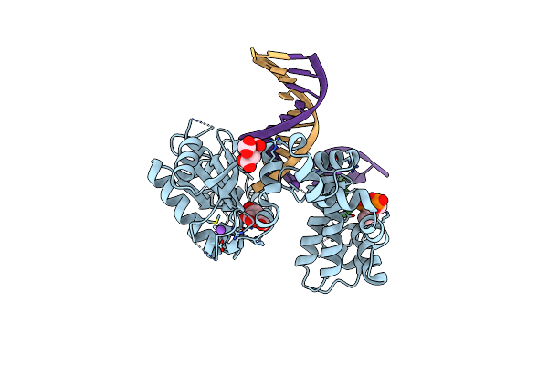 7RBE image
