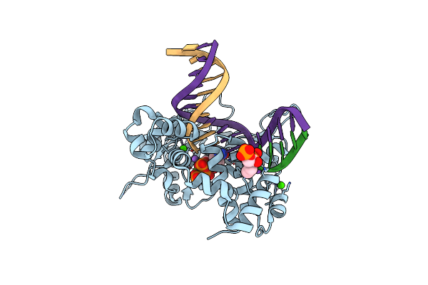 7RBG image