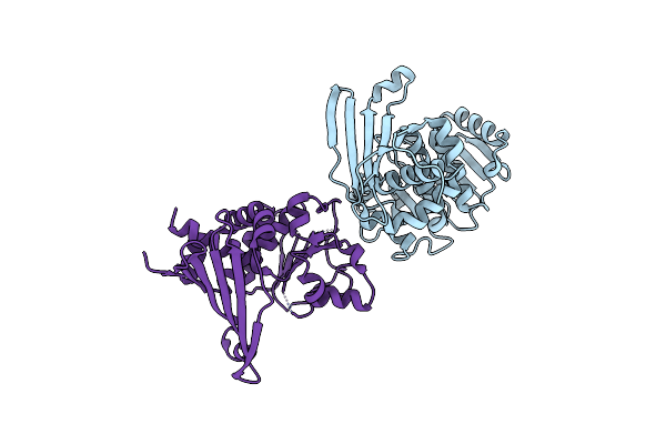7RBP image
