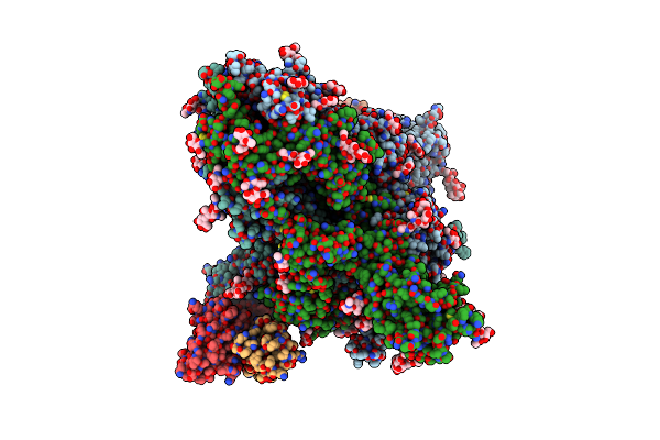 7RBV image