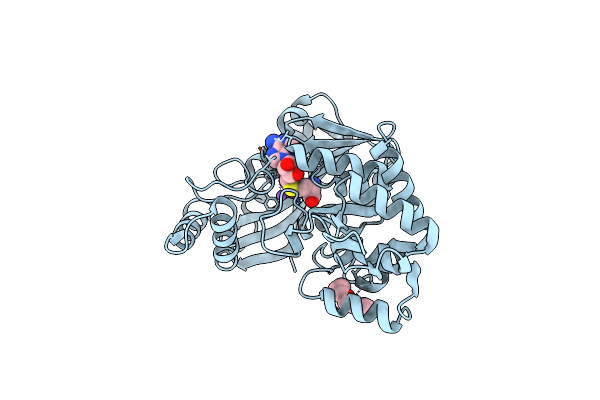 7RC2 image