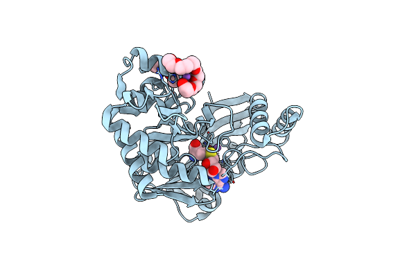 7RC4 image