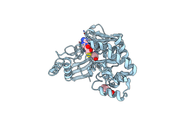 7RC5 image