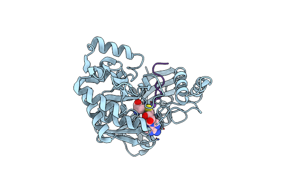 7RC6 image