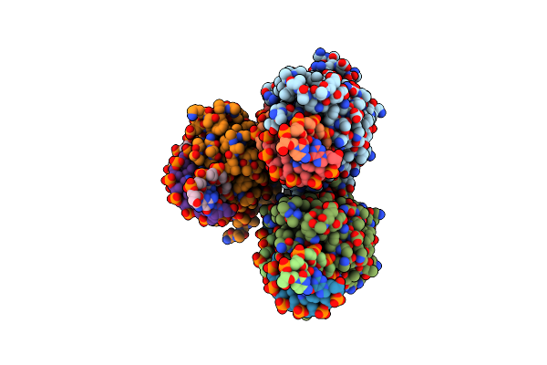 7RCC image