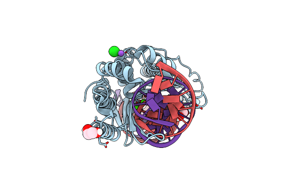 7RCF image