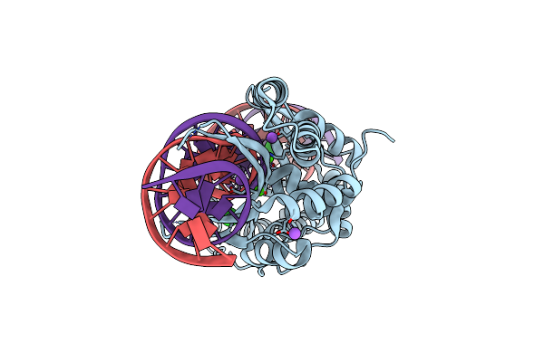 7RCG image
