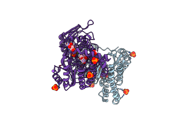 7RCM image