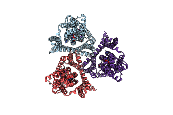 7RCP image