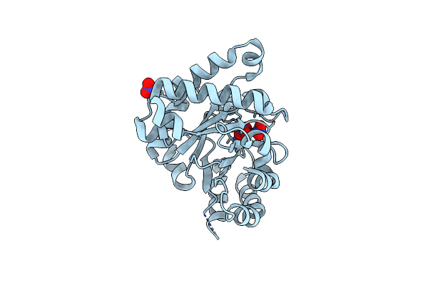 7RCQ image