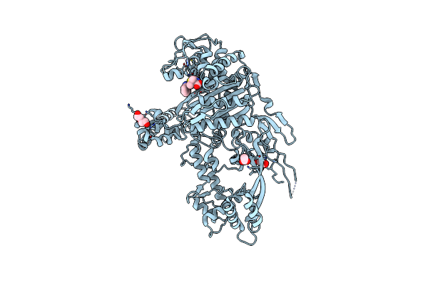 7RCW image