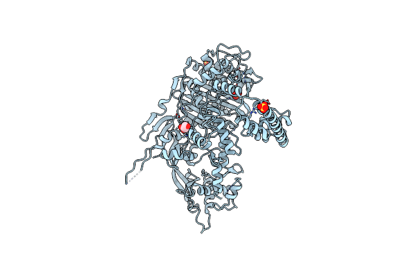 7RCX image