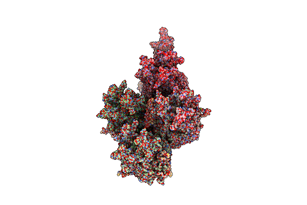7RD1 image