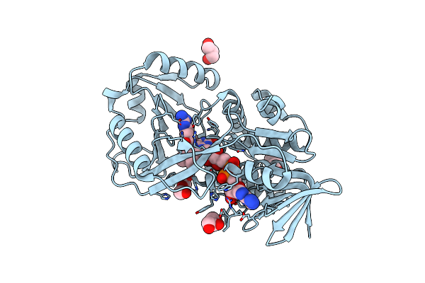 7RDF image