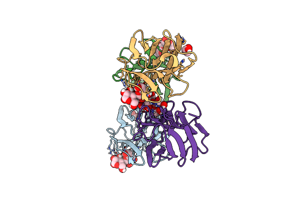7RDG image