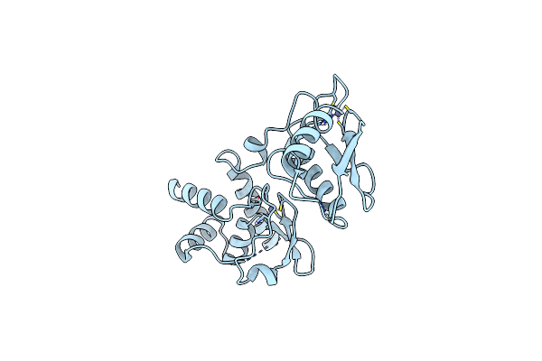 7RDN image