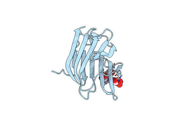 7RDP image