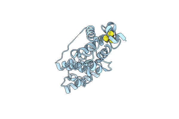 7RDT image