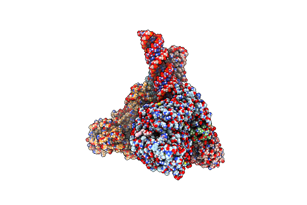 7RDX image