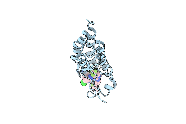 7REM image