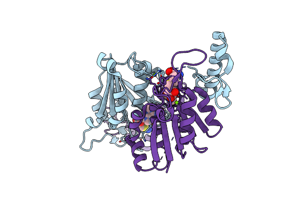 7RF0 image