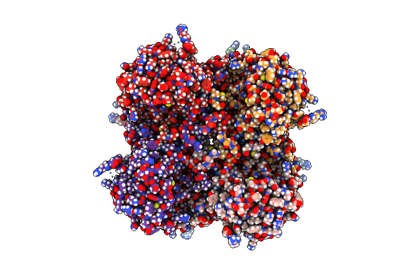 7RFF image