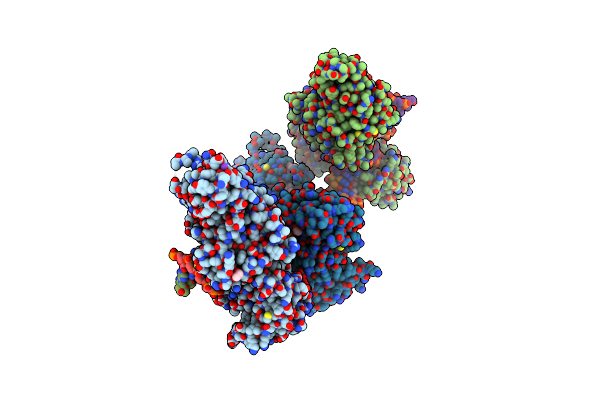 7RFL image