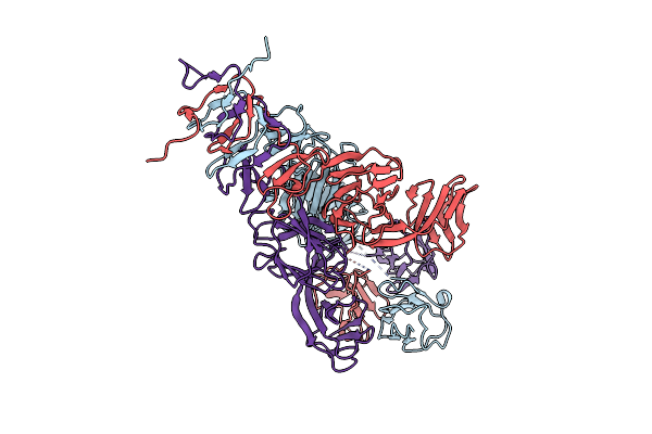 7RFO image