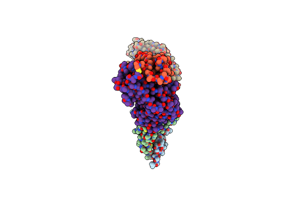 7RFP image