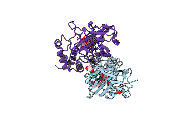7RFT image
