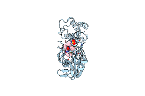 7RFU image