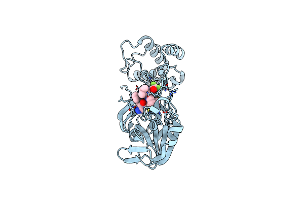 7RFW image